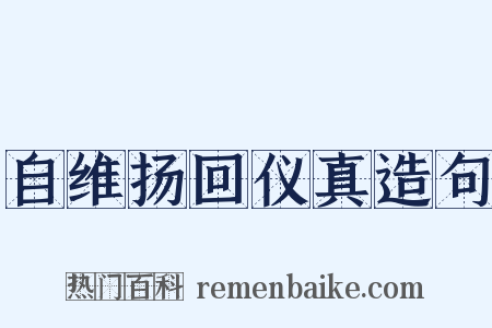 自维扬回仪真造句是什么意思的图片